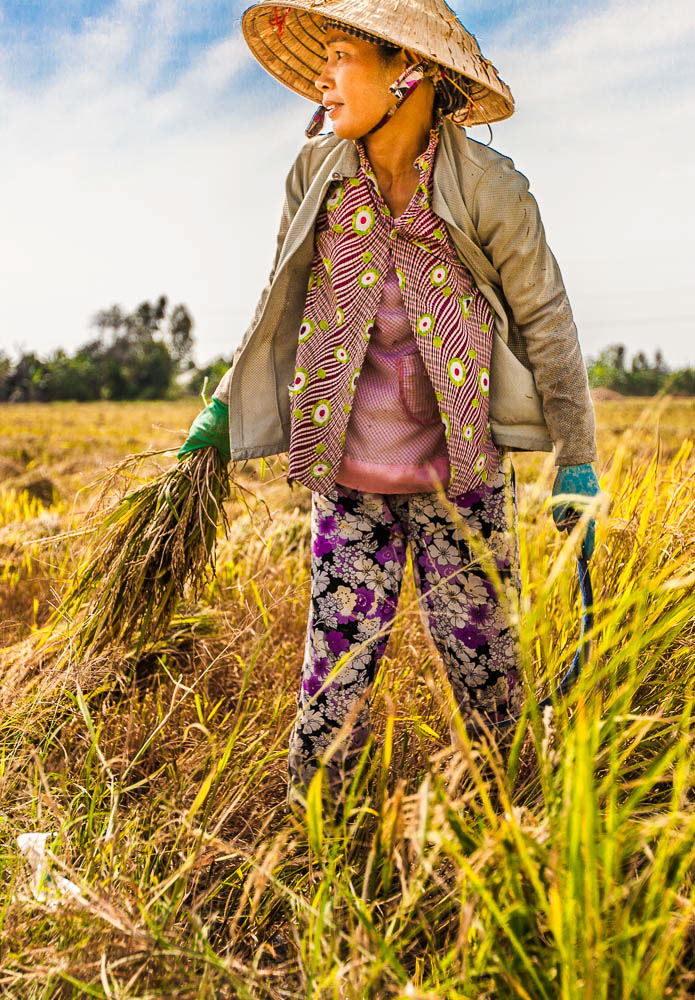 Adobe Portfolio vietnam Travel people man woman market river Food  Landscape
