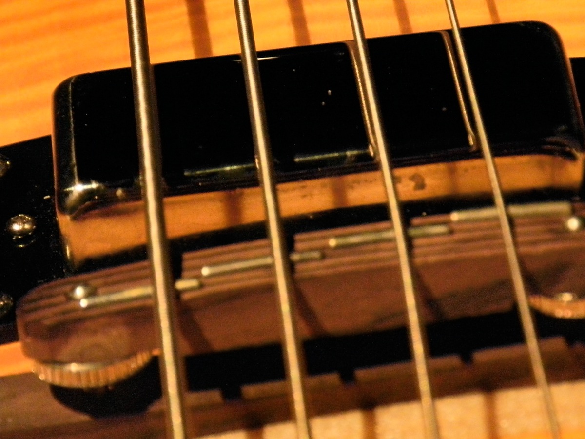 Viola bass Gibson