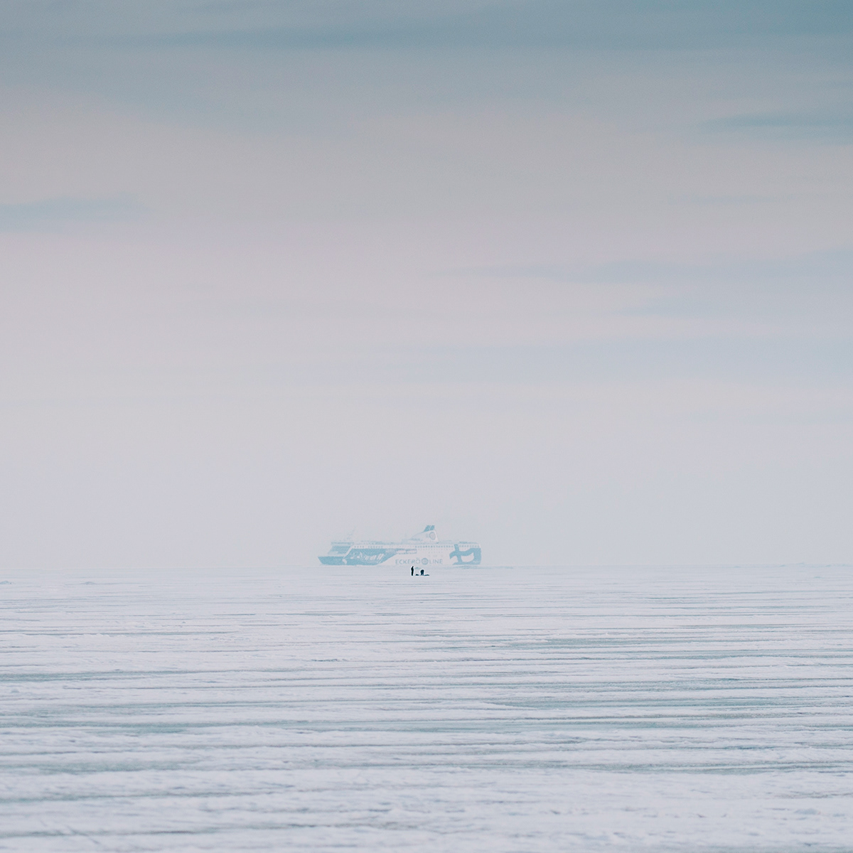 winter ice people skiing dog baltic sea haukilahti Espoo finland