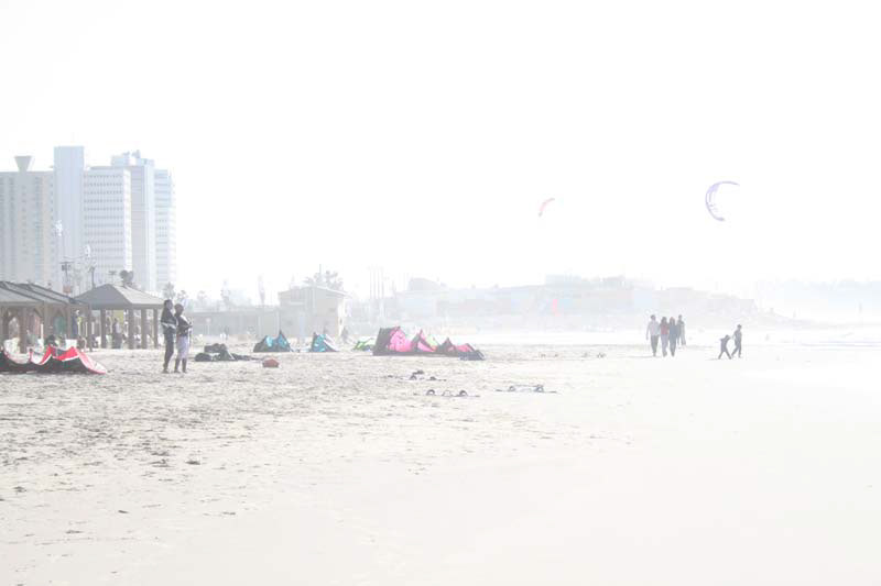 macro beach pilles מקרו צילום חוף חיים ריץ' רץ