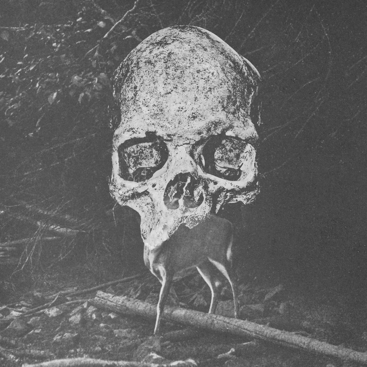 chavetta collage skull