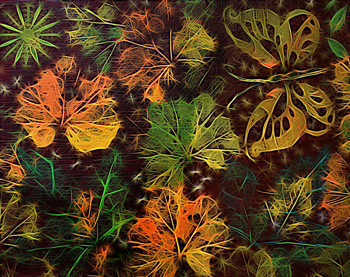 butterflies butterfly digitalart painting   art home decor wall art artwork prints posters