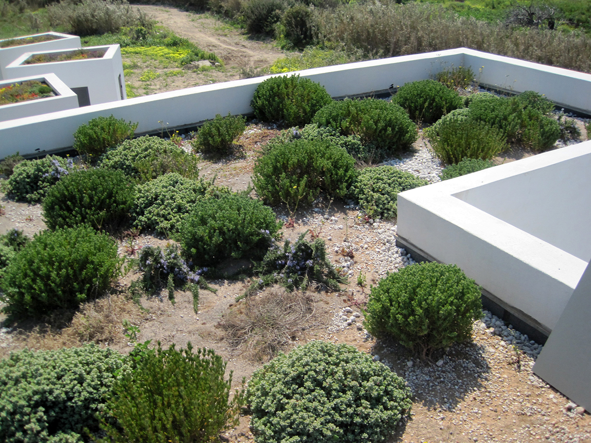 Greece Aegina Island contemporary home house build building architect design Interior exterior Villa designer