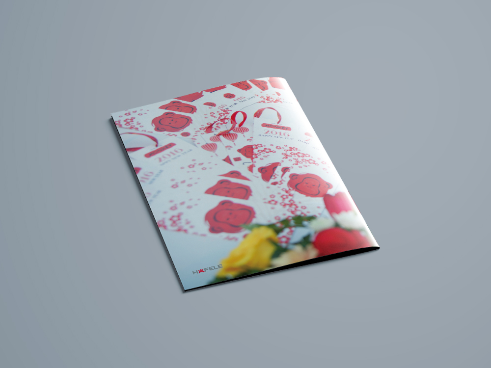 magazine graphic design  Photography  magazine layout