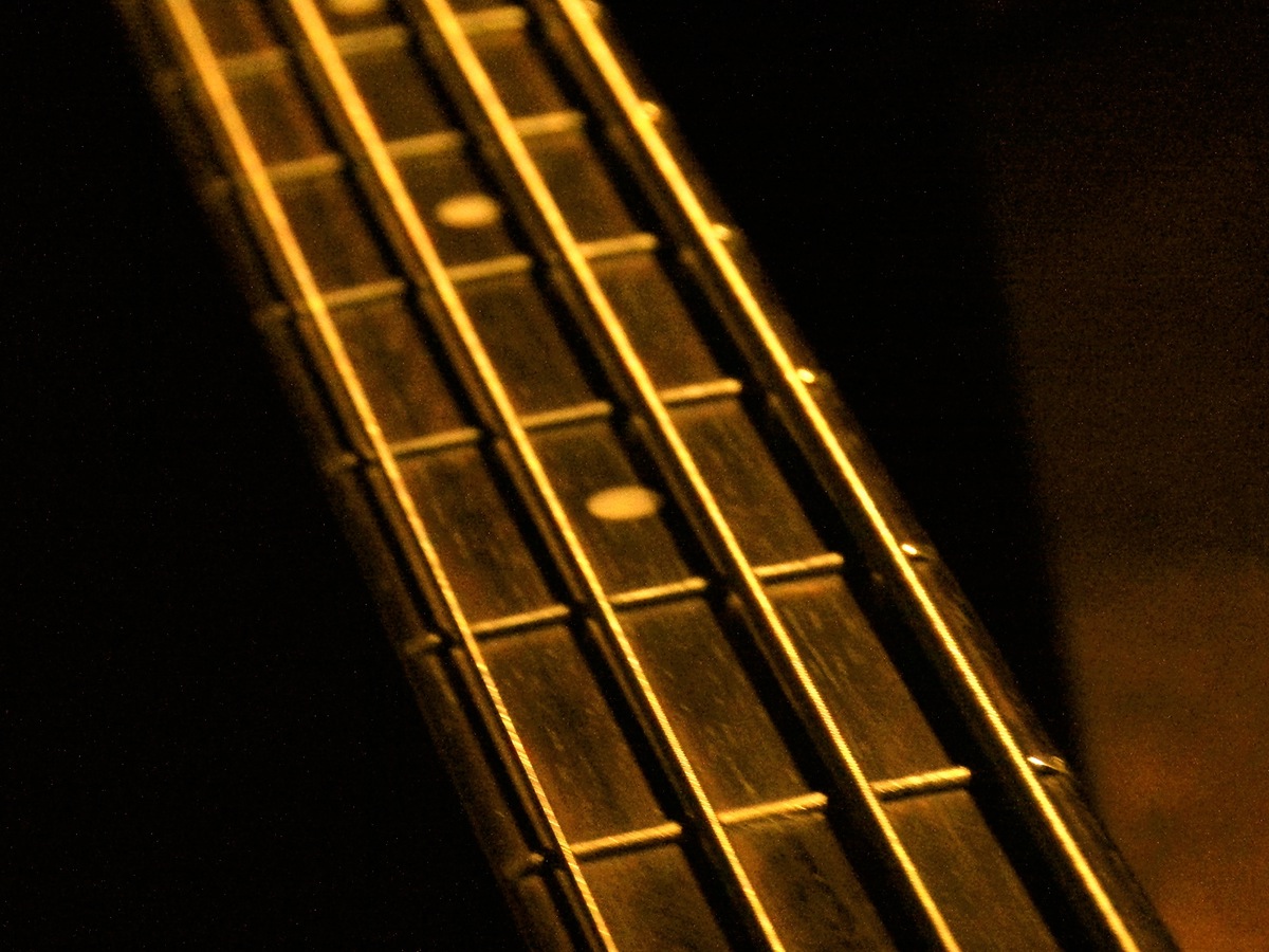 Viola bass Gibson
