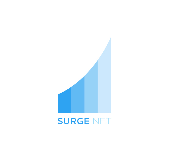 Logo Design surge net digital media