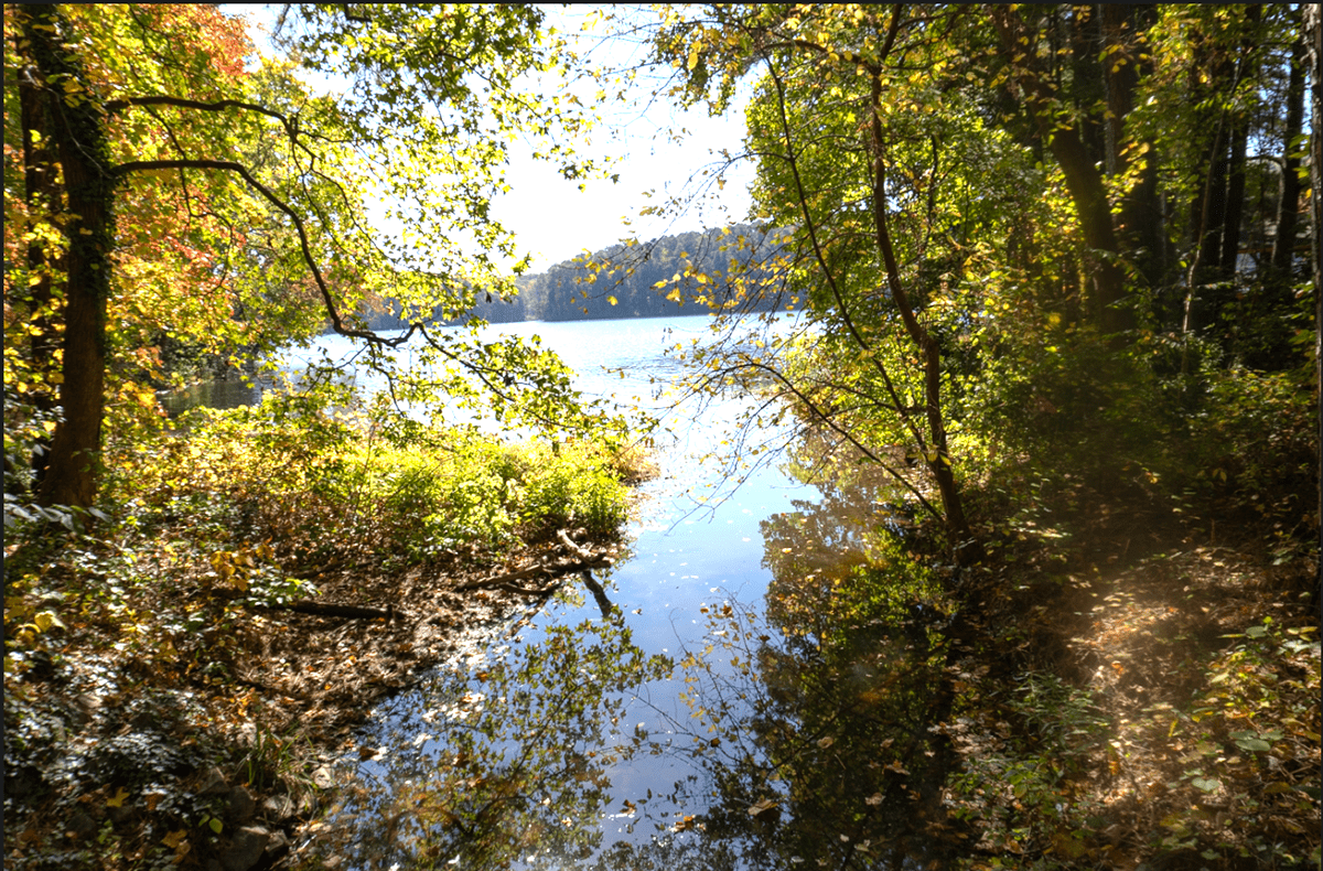 Photography  Nature Fall lake