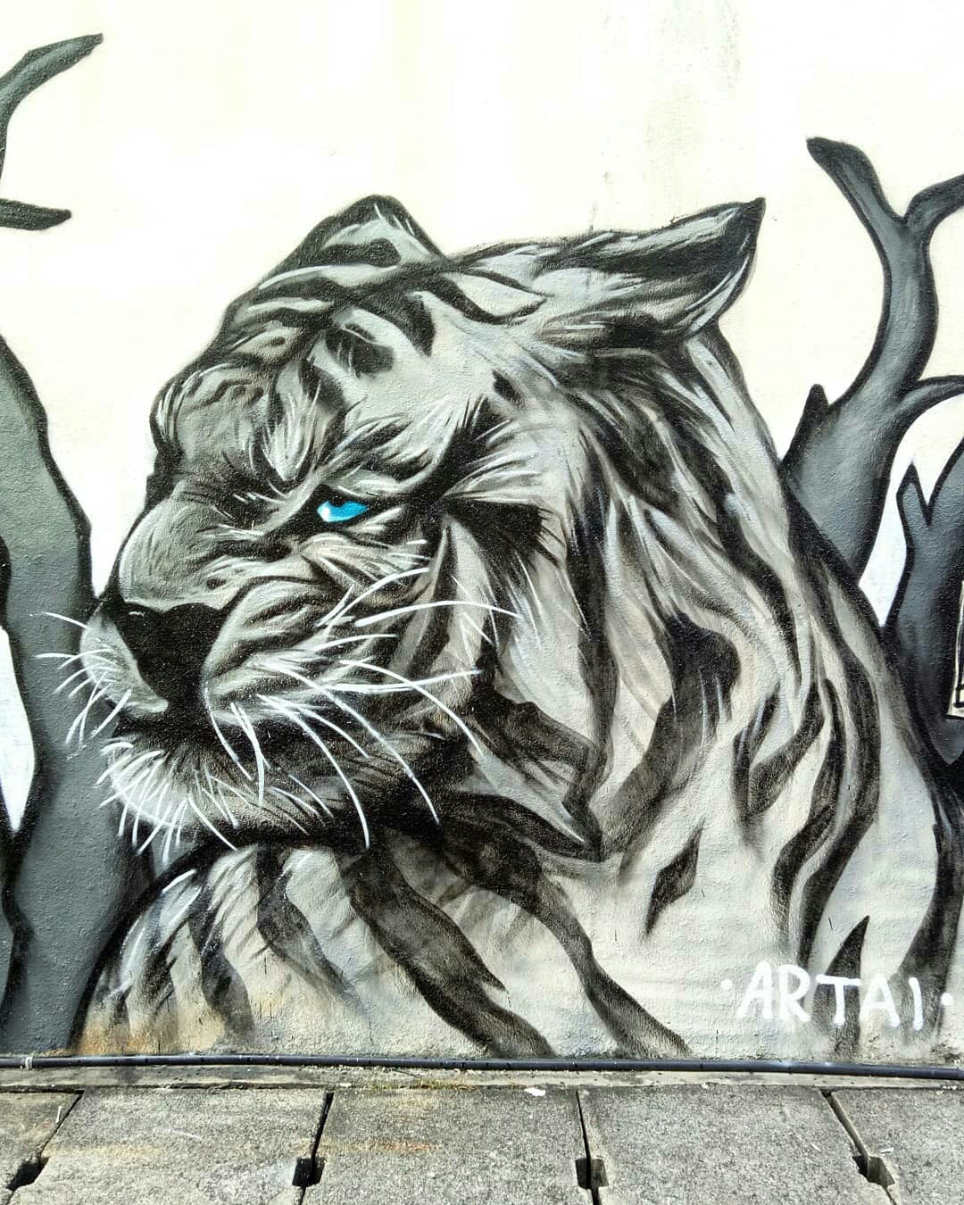 graffiti tiger