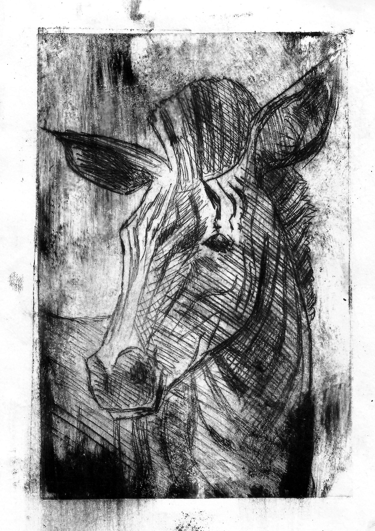 black and white Drawing  etching ink print