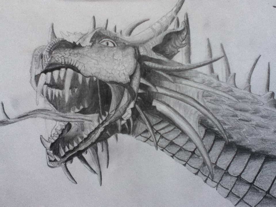 Dragon coursework