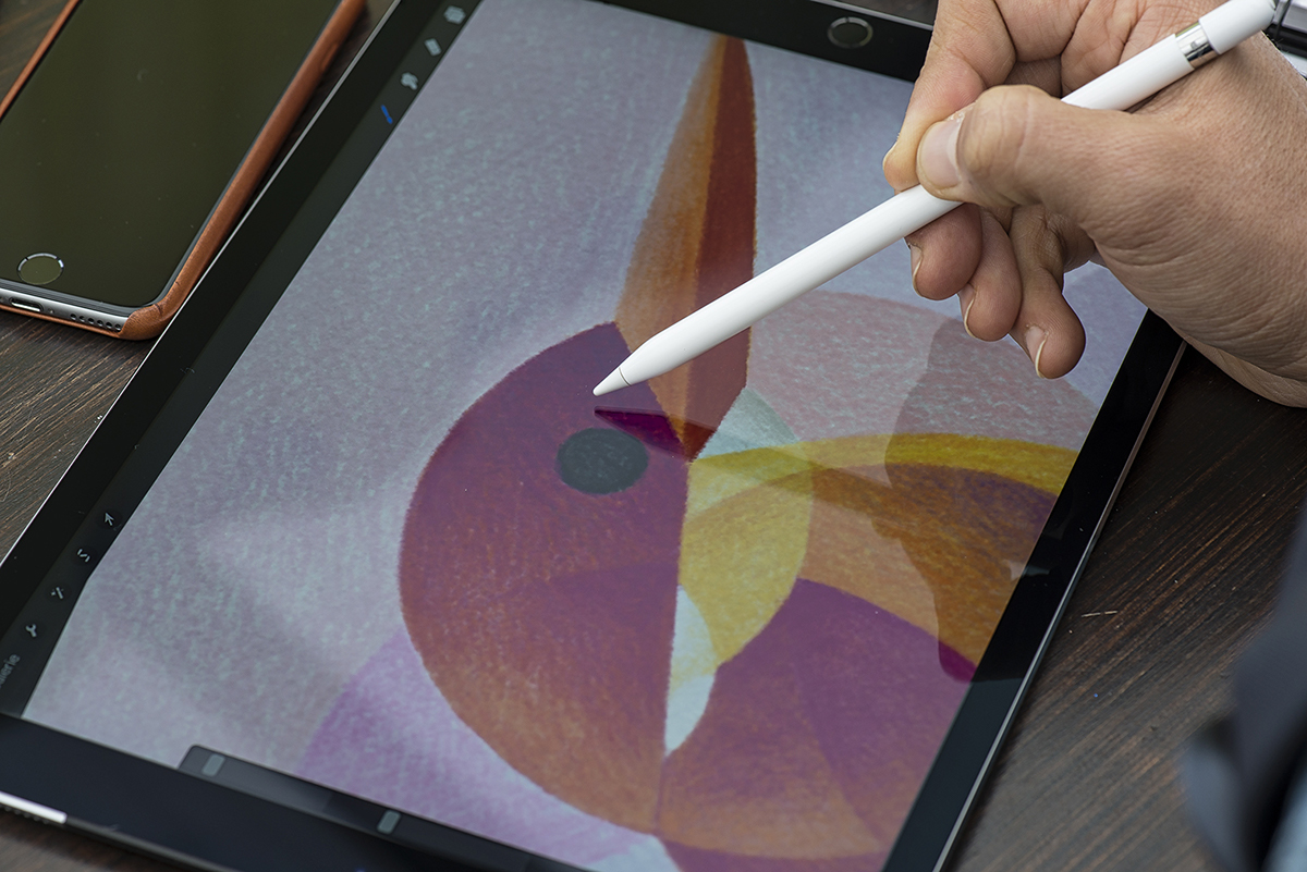 bird oiseau crayon pencil géométrique geometric Sylized stylise textile Couleur