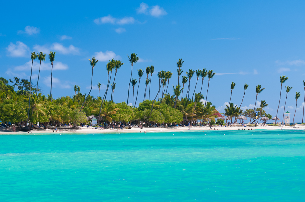 beach Coconut Palm Tree's Cayo Levantado Landscape Ocean Travel Dominican Replublic Sunny Destinatioins