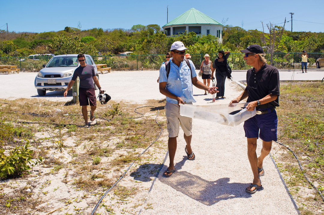 Ecology Nature conservation turks and caicos