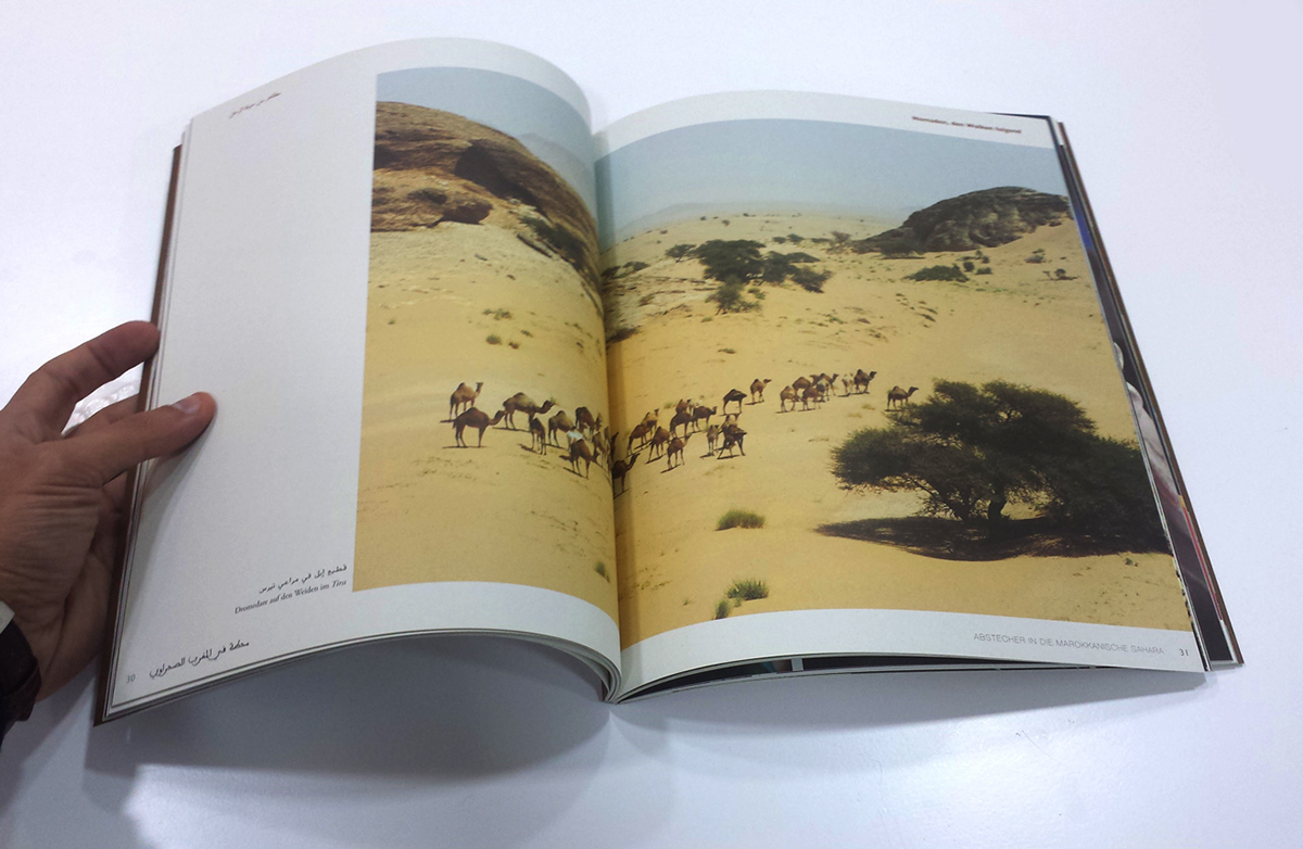 #sahara #editorial design  #book
