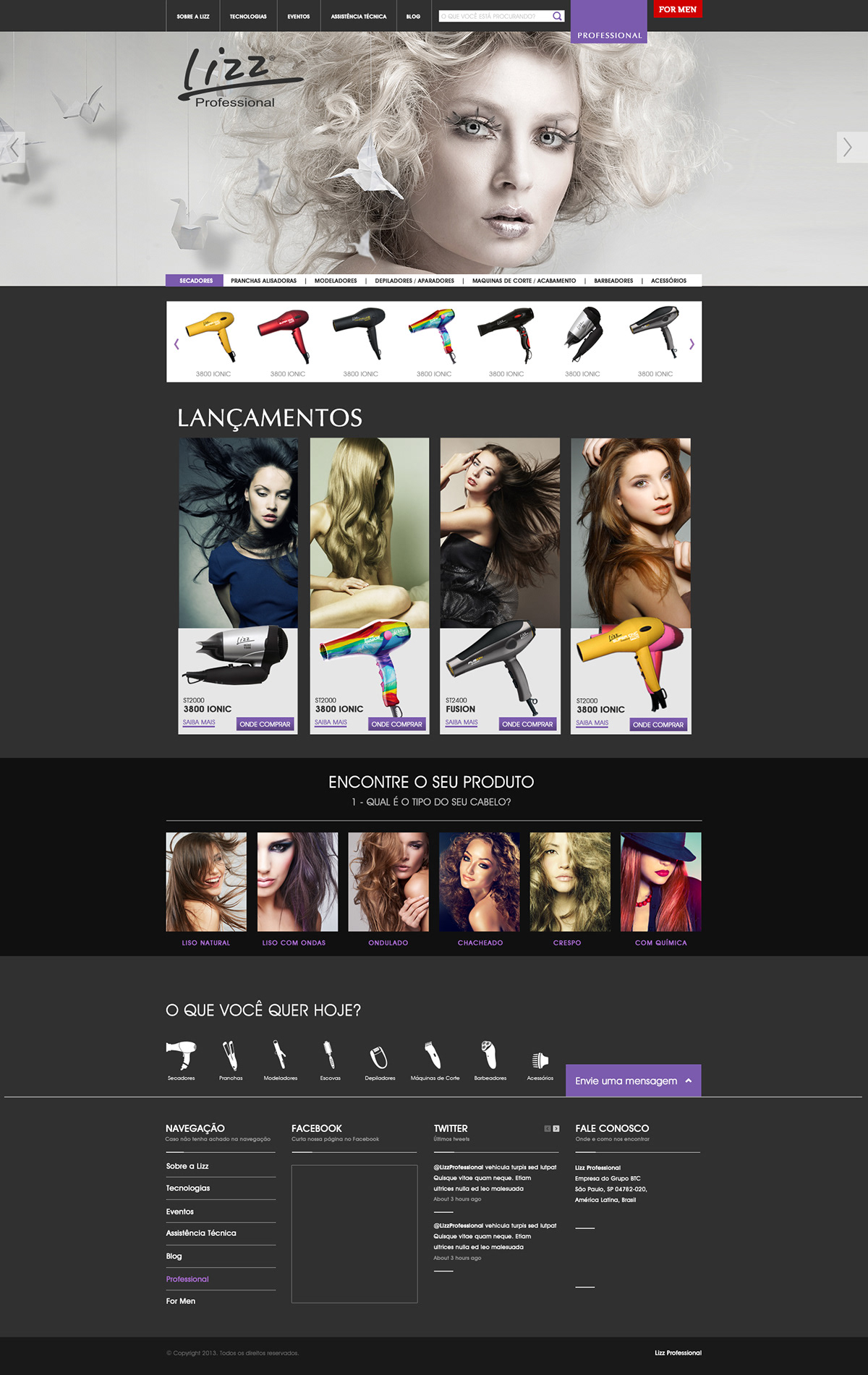 lizz site Web site de moda beleza lizz professional karina karina rodrigues design gráfico Karina designer secodores chapinhas site de secadores colors moda