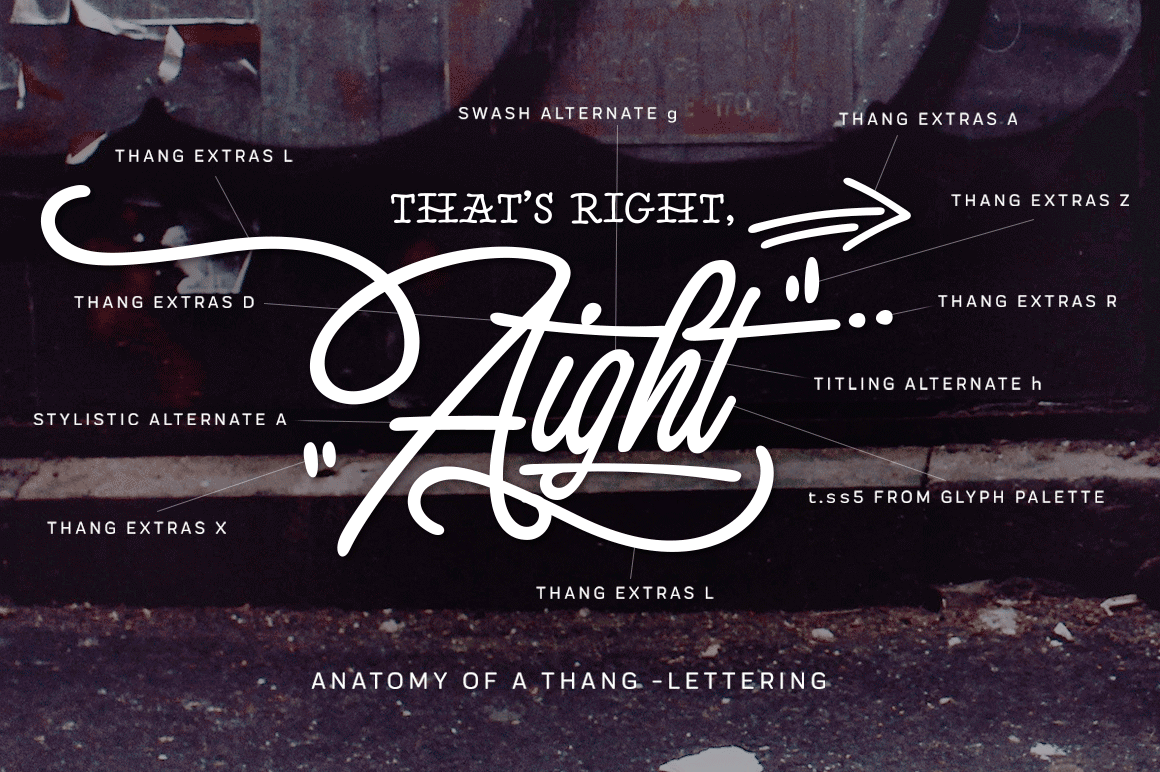 font Script type lettering brush Street typography   Fenotype