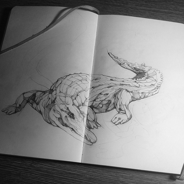 scull moleskine adobedraw AdobeSketch skull alligator pencil sketch colorful
