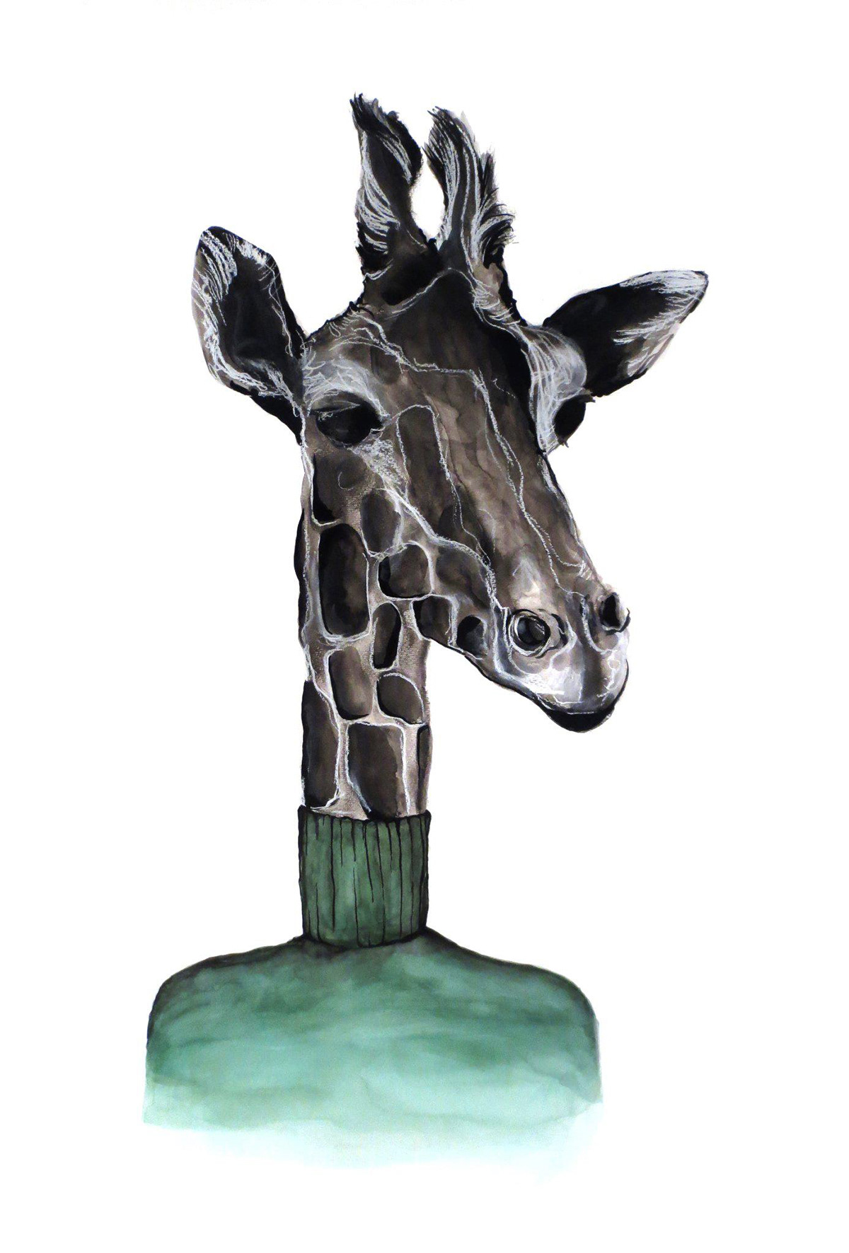 watercolor ink giraffe charcoal portrait animal