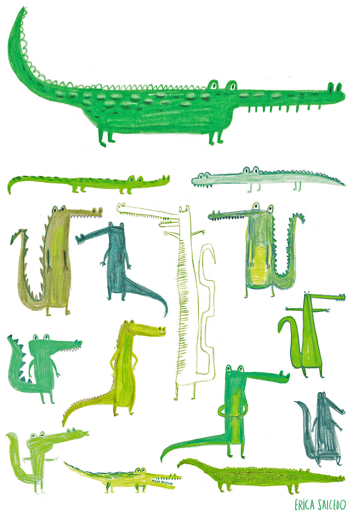 crocodile cocodrilo annimal children illustration