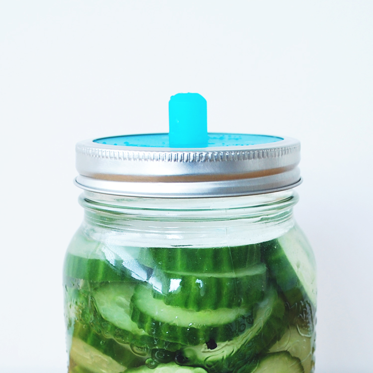 mason jar pickle homemade natural vegetables healthy fermentation Ferment