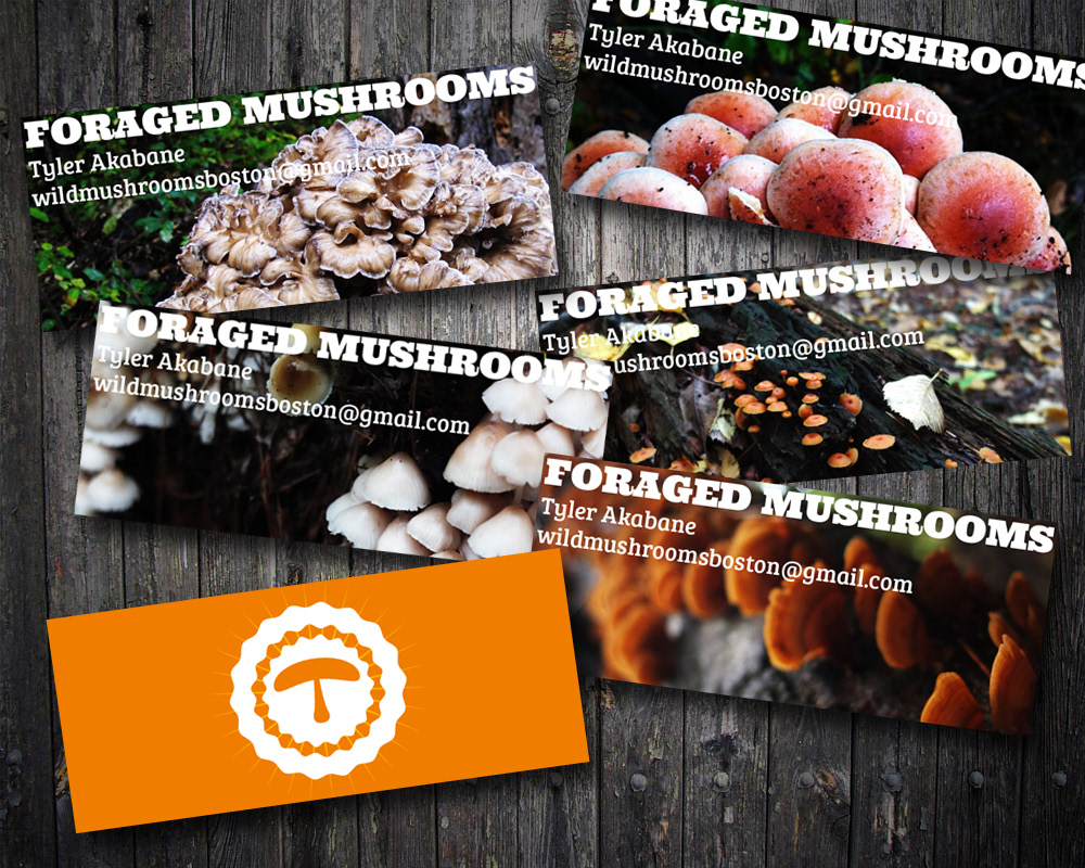 forager Mushrooms Business Cards