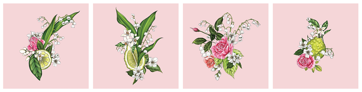 botanical branding  Cosmetic floral ILLUSTRATION  Packaging pattern perfume pink Roses