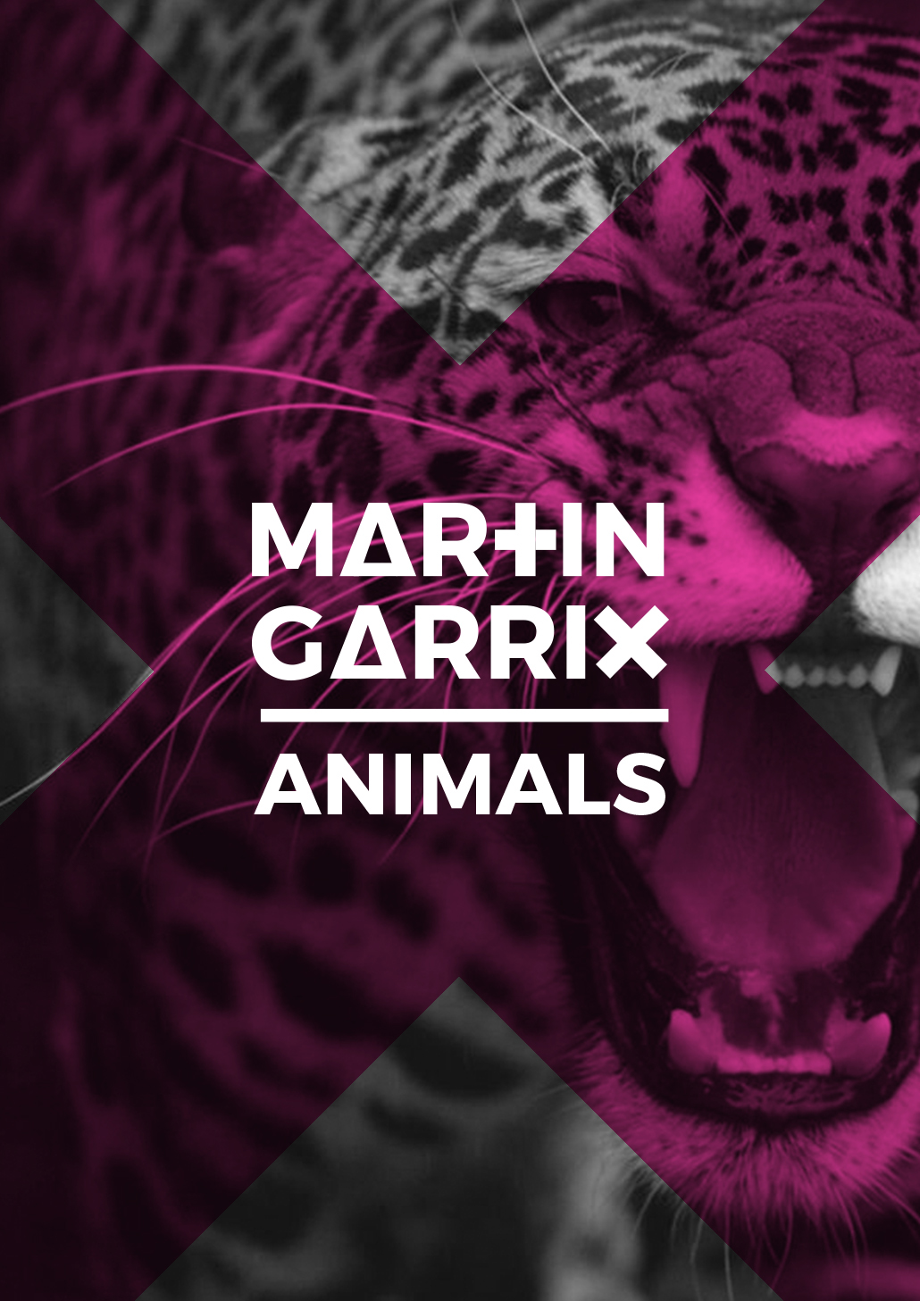 Martin Garrix Logo Re-Branding on Behance