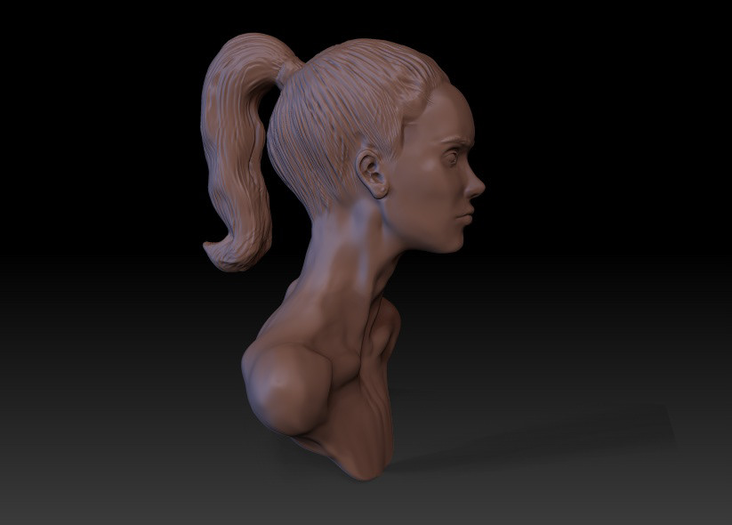 Zbrush bust 3D 3dmodeling sculp Character
