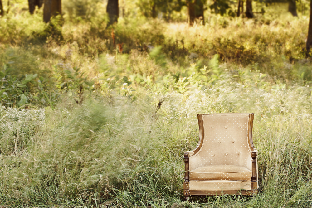 arm chair brown chair enchanting golden hour grass green Magical motion slow shutter speed summer sunlight vintage chair