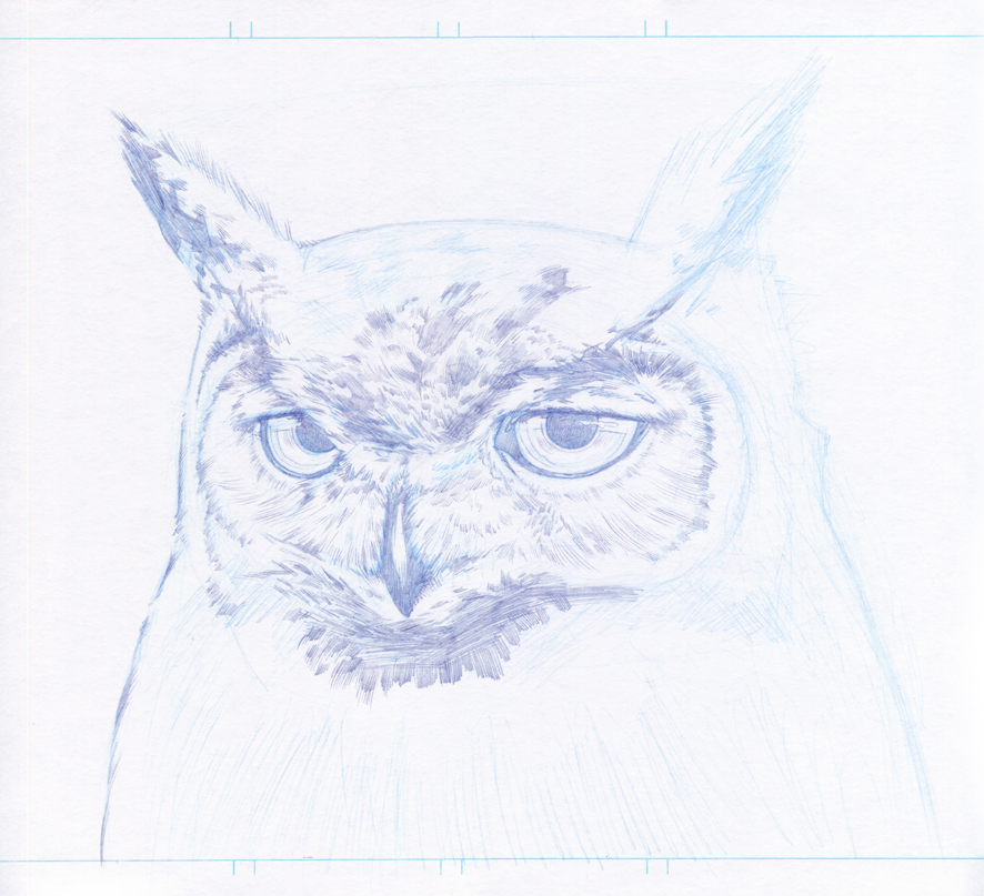owl indian ink animal bird brush pen pencil blue black forest Tree  eye feathers