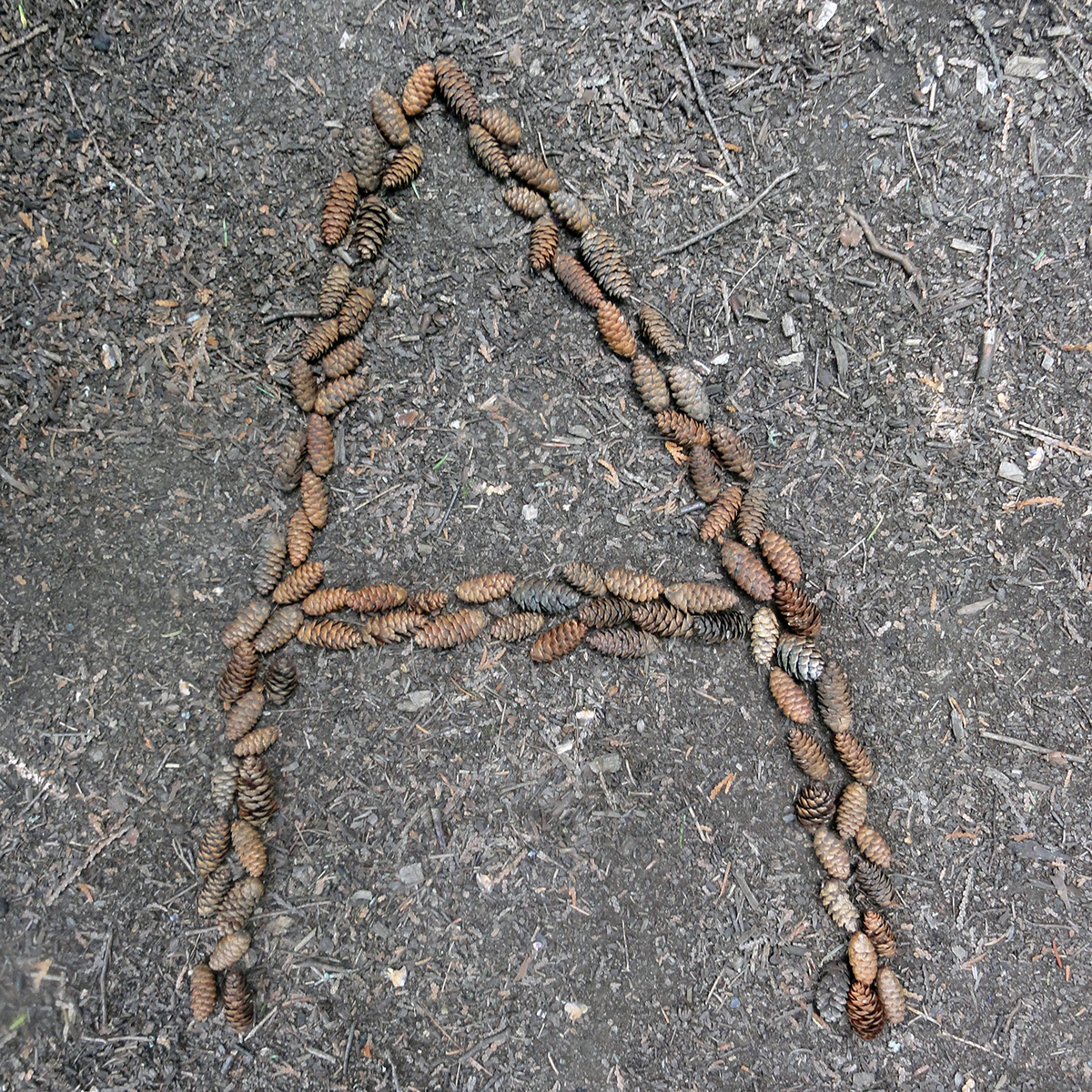 Typography by Nature Nature alphabet Found objects