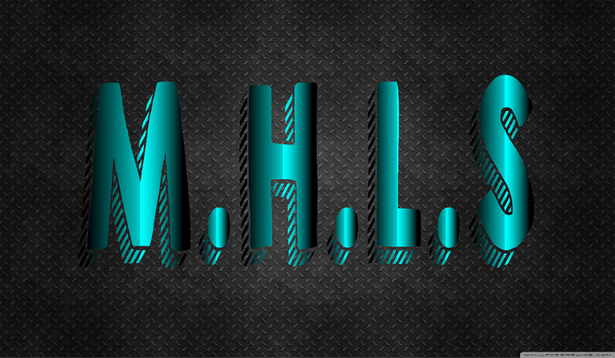 logo Pessoal M.H.L.S