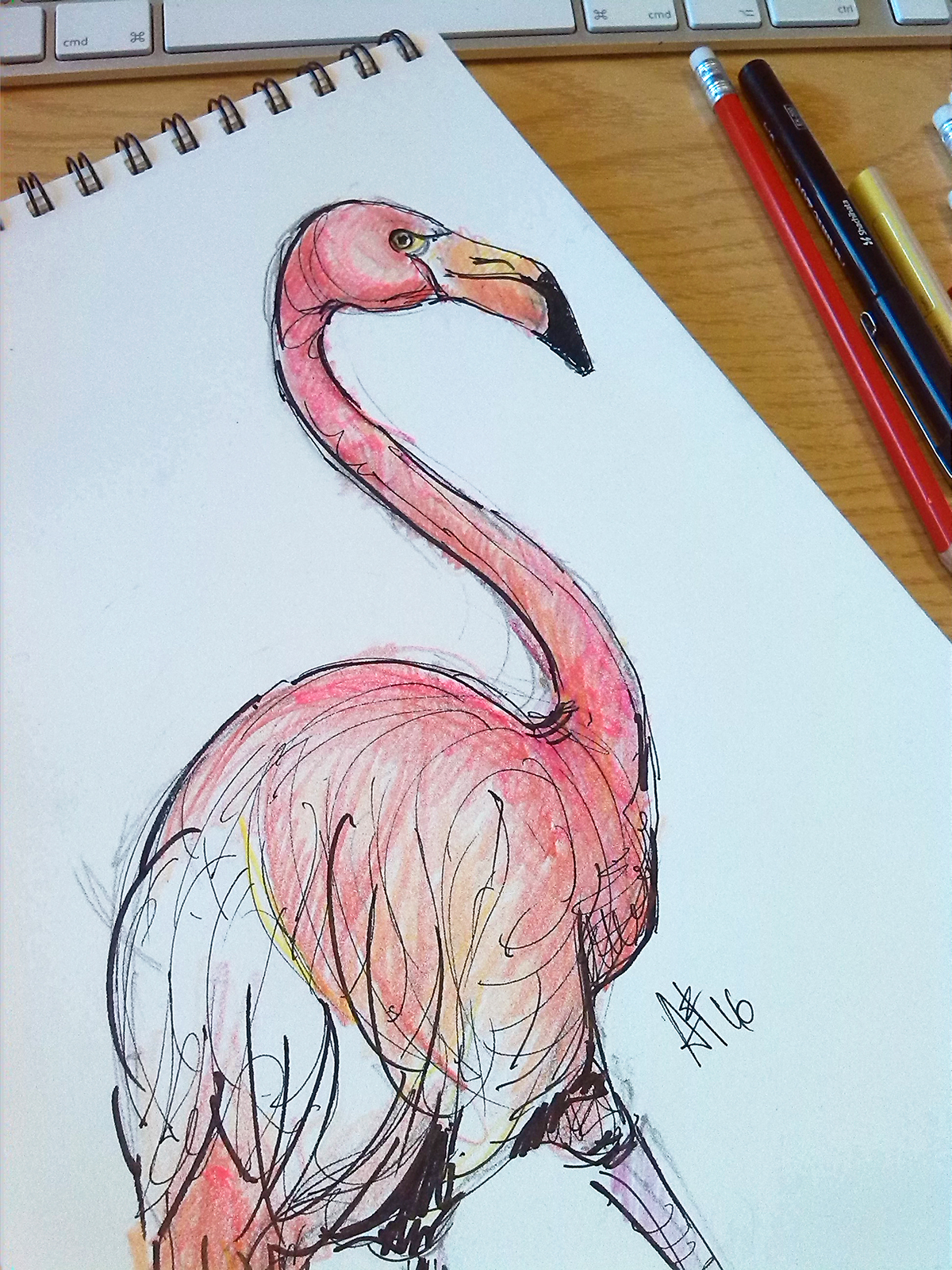 flamingo sketch pink