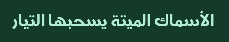 font type Sultan maqtari سلطان المقطري  خط
