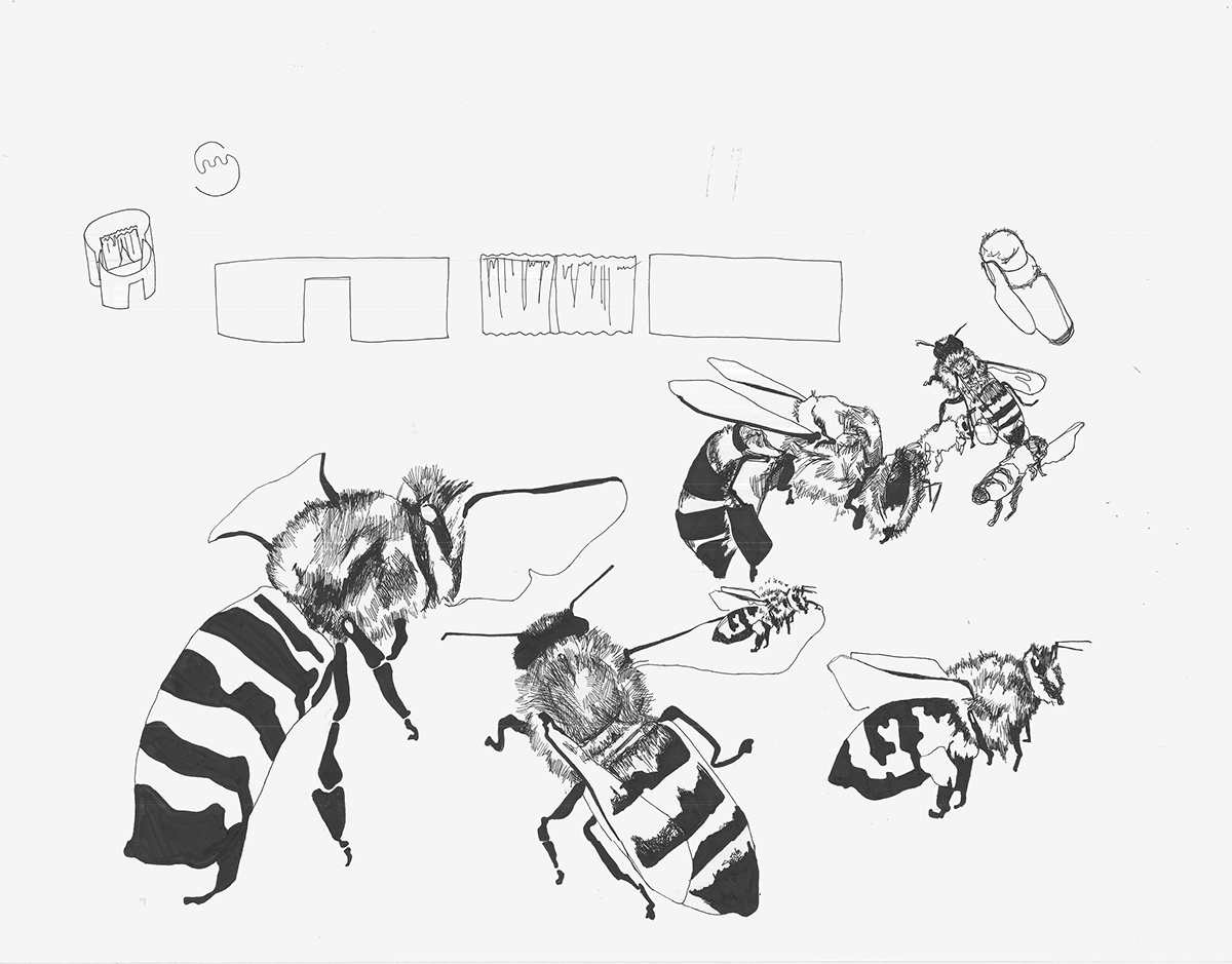 #bees #drawing #beequeen #drawing #textiles #pattern #penandink