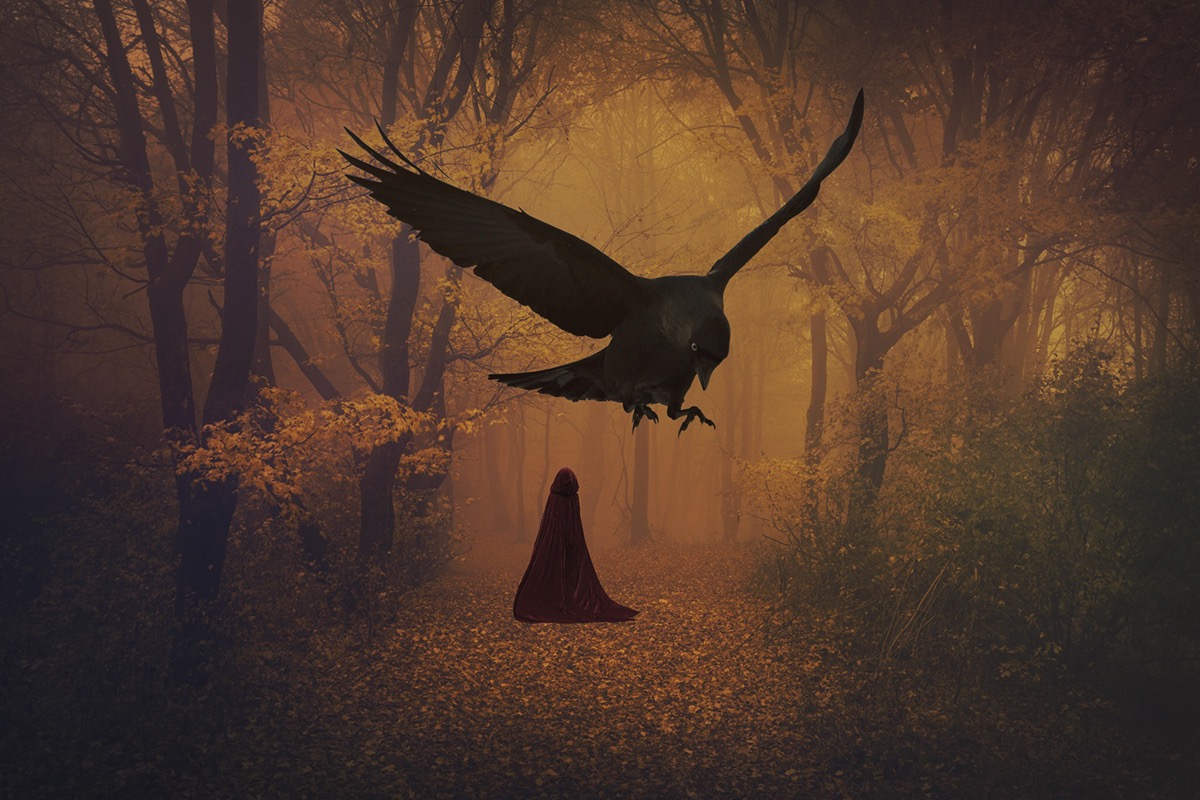 crow cloak red sanctuary surreal forrest color dreams photoshop glow inspire