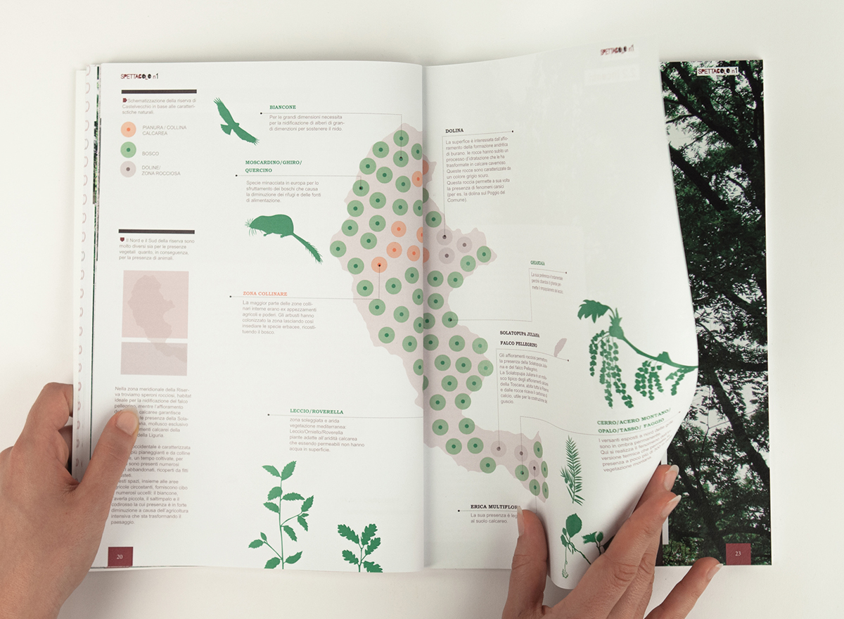 informationdesign society Nature editorial identity publishing   green plants animal logo Harmony semplicity Tree  thesis