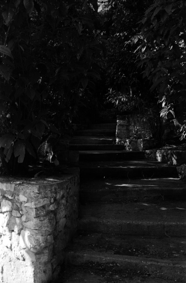 Analogue darkroom development 35mm black and white Street night Day Nature still life