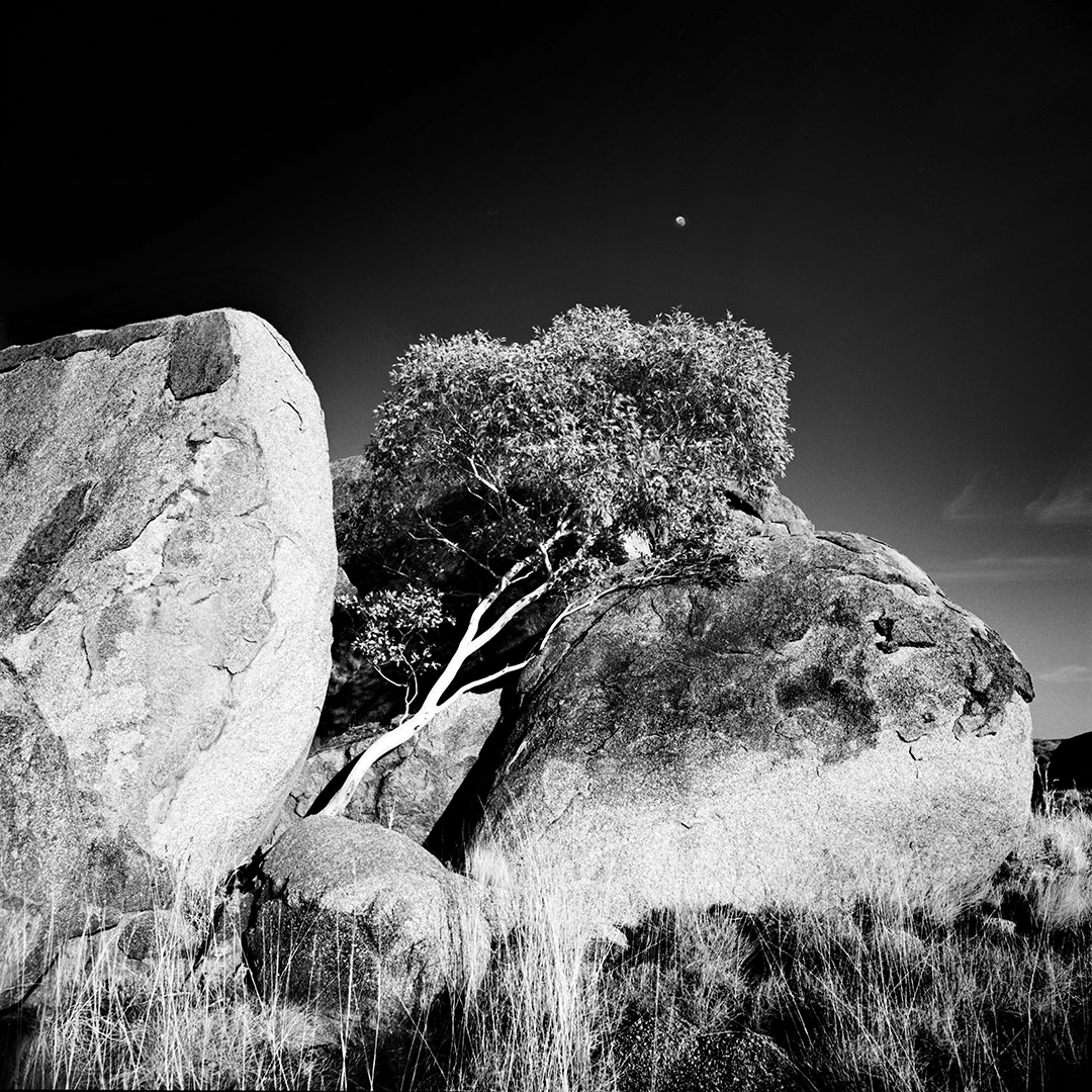 Australia black and white Hasselblad landscape photography long exposure michael schlegel minimal Minimalism monochrome uluru