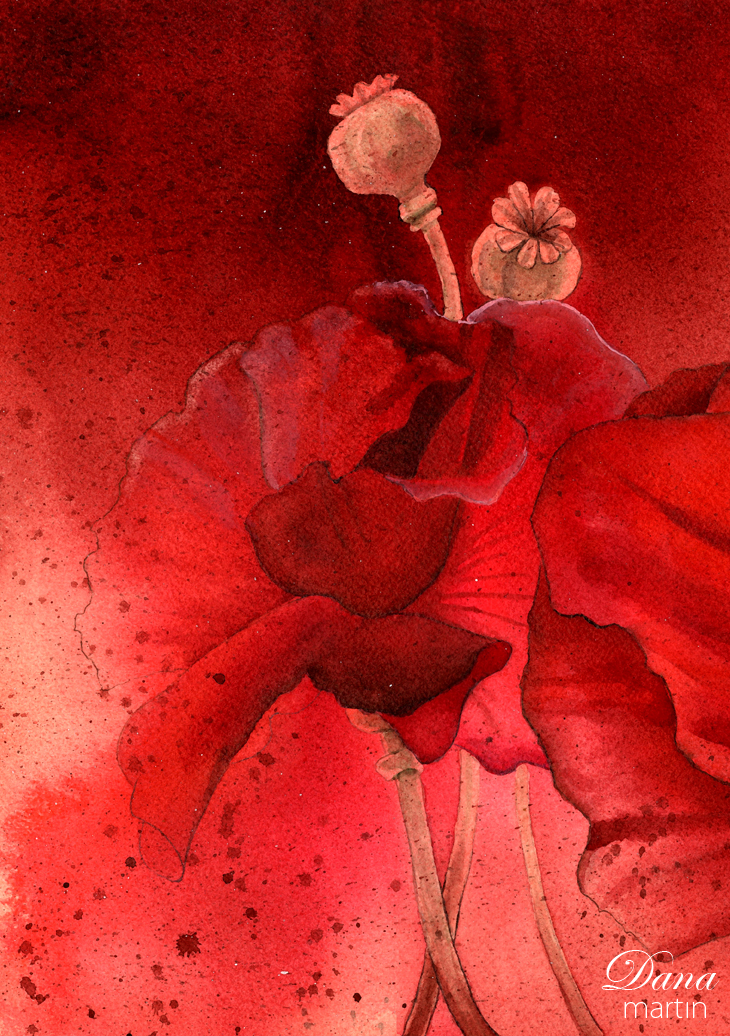 woman red poppy flower poppies opium garden scarlet crimson Lady girl watercolor