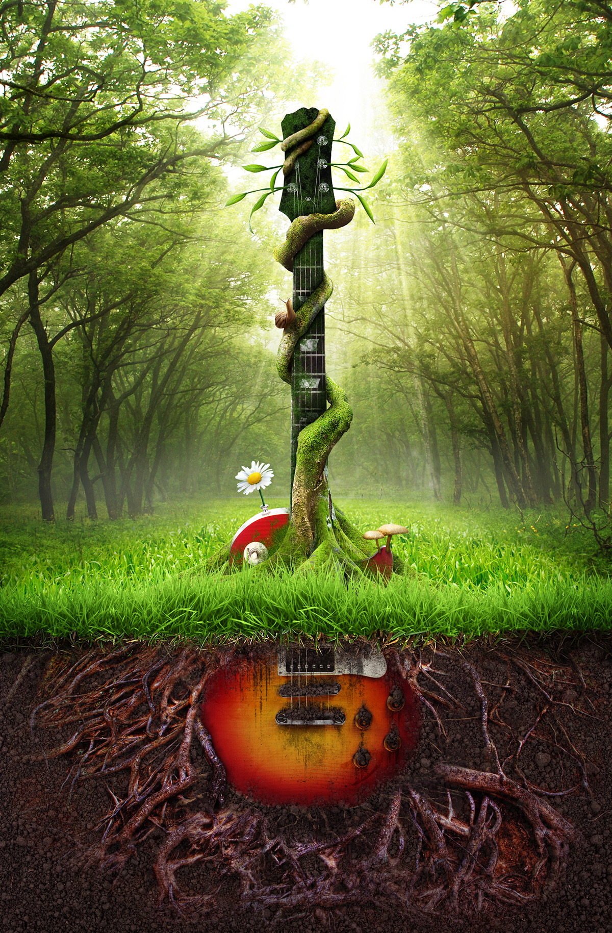 sounds sound SOM sons musica floresta forest fantasy dream fantasia sonho Nature natureza Brazil Brasil
