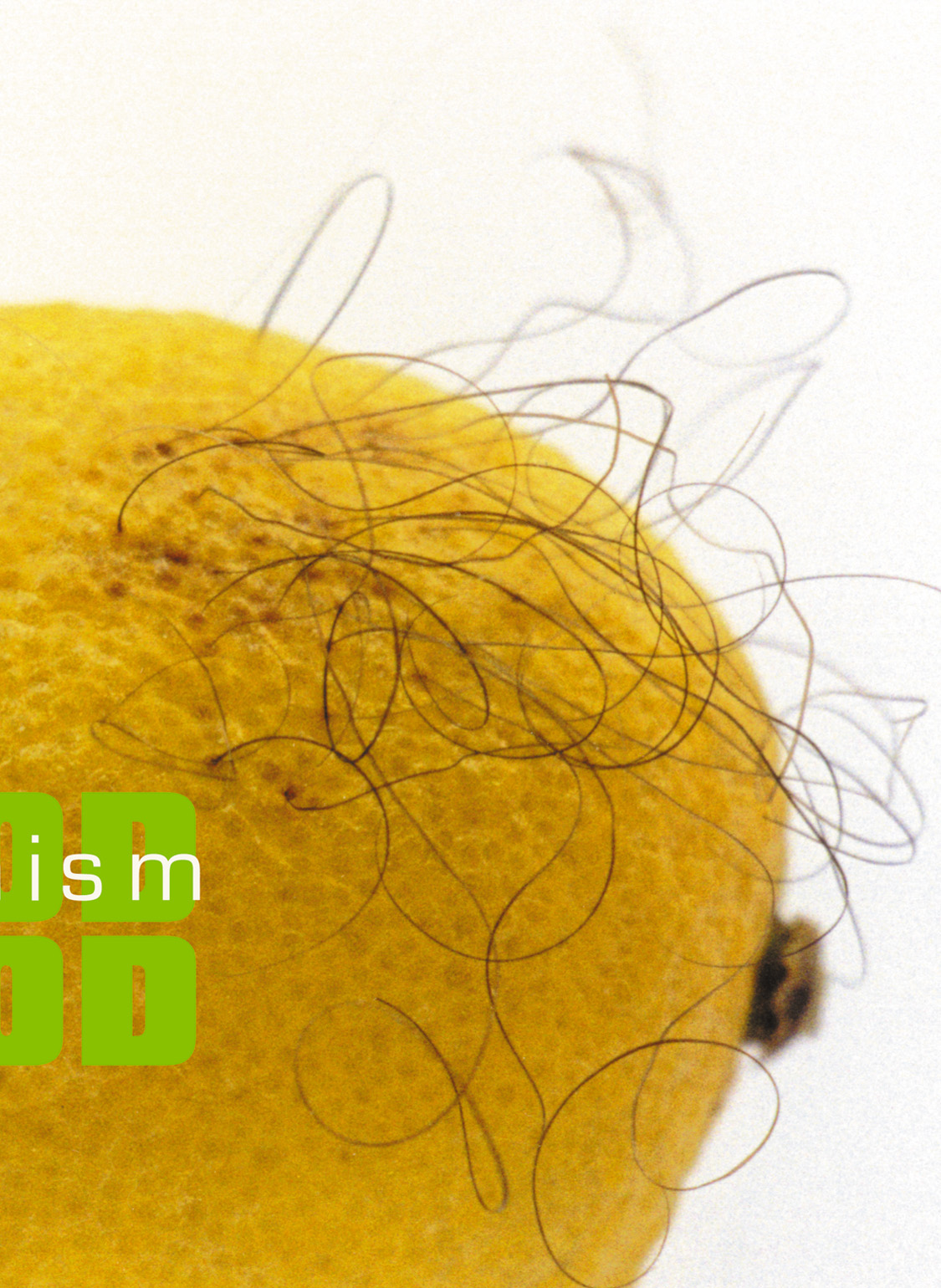 GMO modified organism lemon poster social design Social Poster Genetically Modified Food  Design for Society concept publishing   noncommercial "Jarek Bujny"  fruits