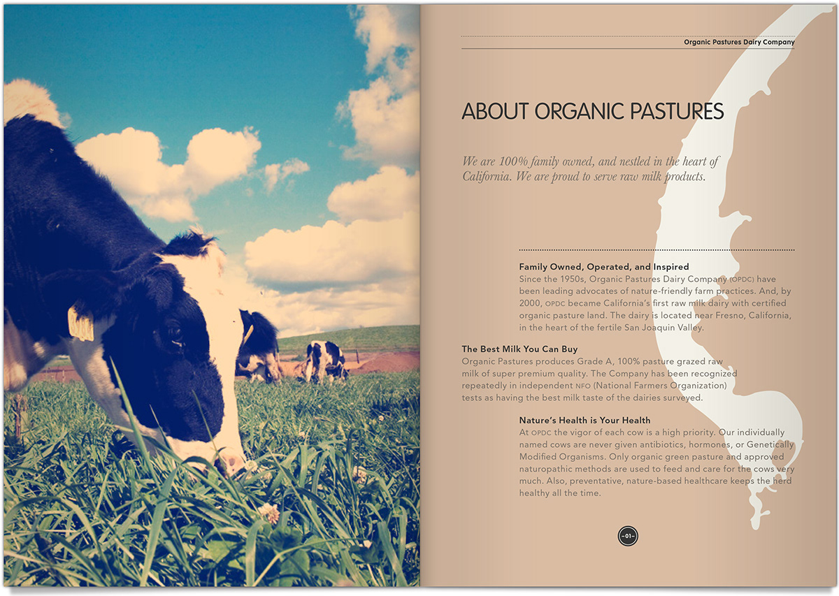 milk organic Food  Website Booklet brochure Health
