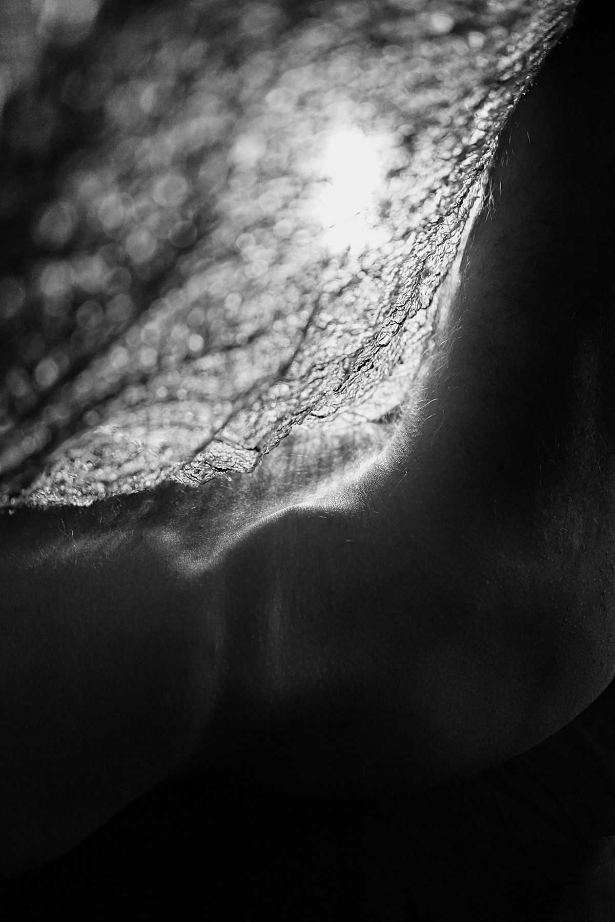 black and white body fine art photography man man portrait monochrome nudes photographer portrait