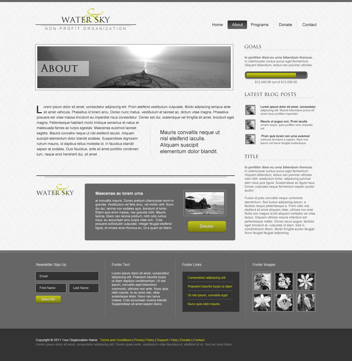 websitee design  free psd Theme