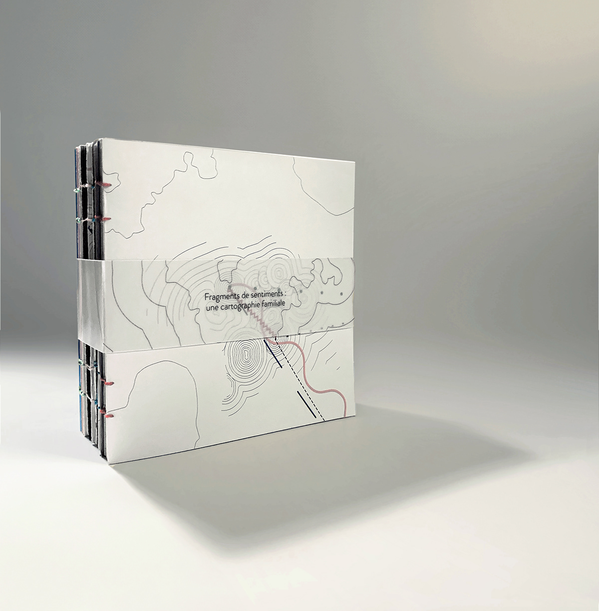 editorial cartography map design vector map Travel graphic design  designer graphic book design