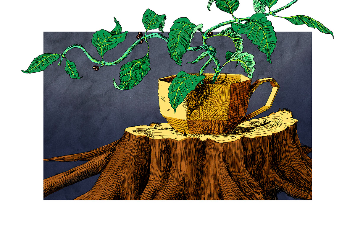 Coffee Plant Tree  stump coffee cup environmental green ink digital color