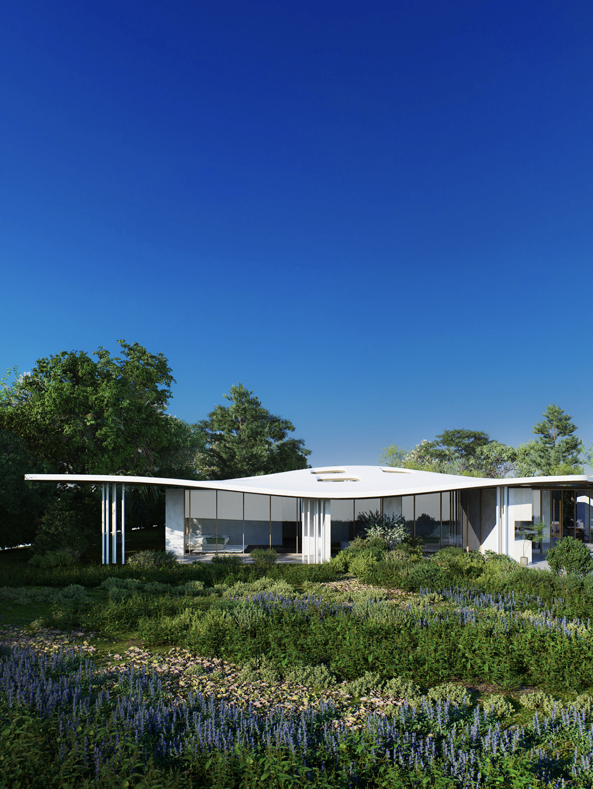 3D architecture D5 Render exterior design Exterior rendering modern Outdoor rendering villa design visualization