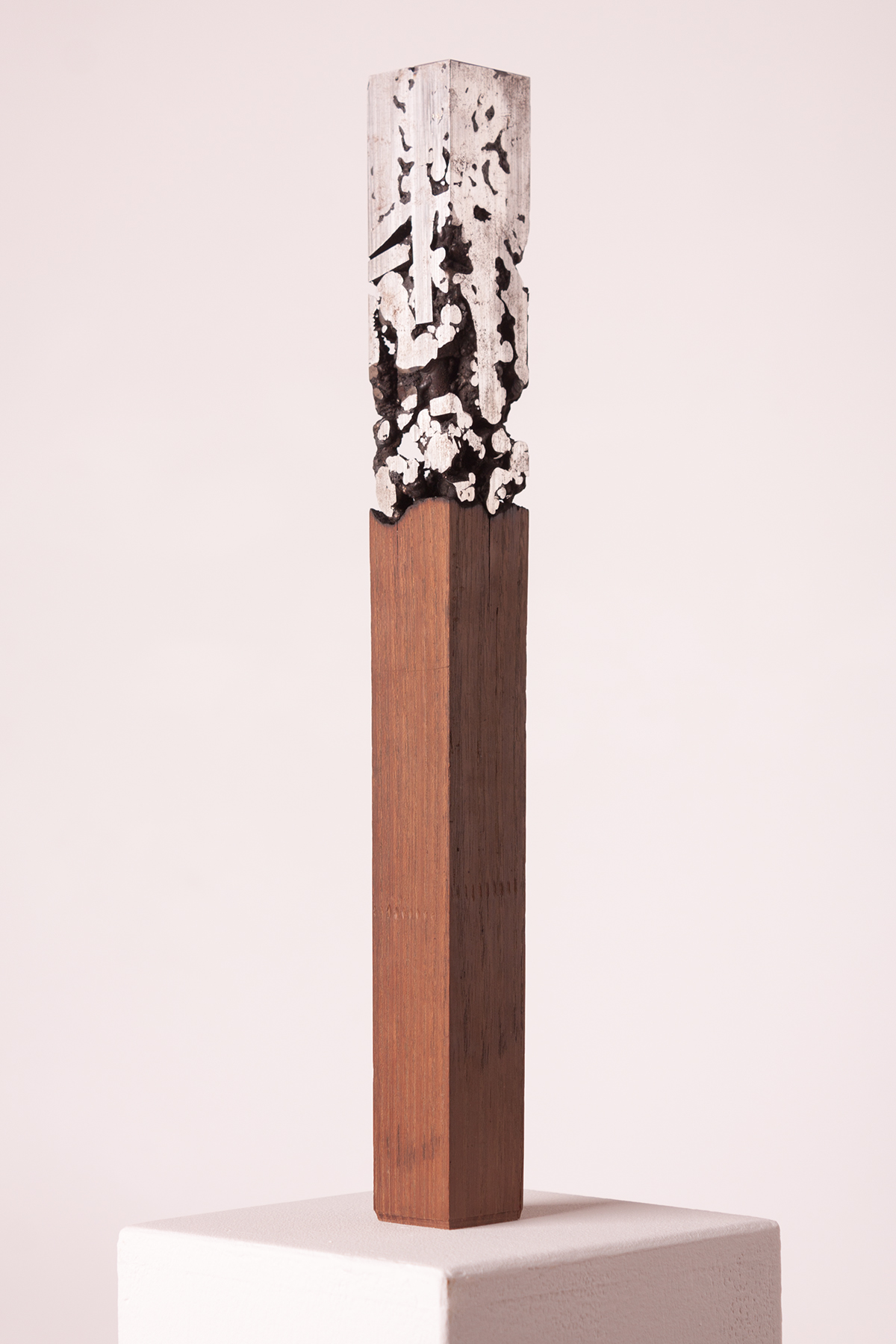 sculpture ARBONIUM wood steel iron art concept arts personal project