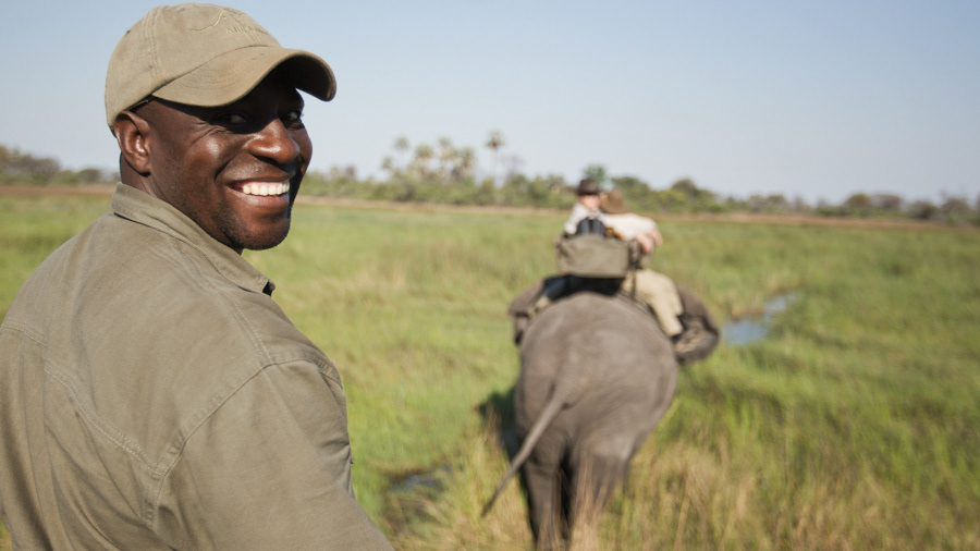 africa elephants Botswana abu camp